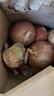 新鲜黄洋葱黄金水果洋葱即食蔬菜调料烧烤食材 新鲜黄洋葱 5斤 含箱 实拍图