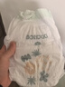 巴布豆（BOBDOG）菠萝裤纸尿裤XXL号36片(14-17KG) 尿不湿 超薄透气 干爽 实拍图