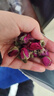 陈一凡 玫瑰花茶 新鲜无硫平阴重瓣红玫瑰花苞女人泡水喝花草茶袋装250g 实拍图