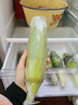 滇味十足（DIANWEISHIZU）水果玉米甜玉米云南金银双色新鲜甜嫩水果玉米棒鲜玉米茄果瓜 金银双色 【精选5斤】（净重 约5-9根） 实拍图