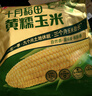 十月稻田 黄甜糯玉米 8根 3.52斤 真空包装 东北粘玉米棒 低脂早餐 实拍图