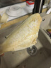 棠鲜生三去耗儿鱼新鲜冷冻扒皮鱼剥皮马面鱼无头鱼玻璃鱼海鲜水产 三去耗儿鱼3斤装 0.6-1斤/条 实拍图