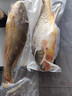 威尔斯（WEIERS）宁德大黄鱼1400g/2条装  地标认证黄花鱼 生鲜鱼类春节也送货 实拍图