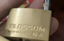 梅花（BLOSSOM）铜挂锁 宿舍家用门锁 防盗窗锁防水防锈锁 车厢柜门锁45MM（075） 实拍图