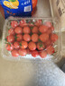 京鲜生 千禧水果小番茄/圣女果 净重2斤 生鲜水果 实拍图