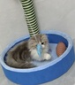 HELLOJOY猫玩具自嗨解闷猫薄荷仿真鱼神器麻布鱼逗猫磨牙宠物玩具 三条装 实拍图