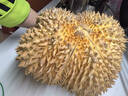 京鲜生 泰国金枕头榴莲 净重7-8斤 1个装 生鲜 年货 新鲜水果 源头直发 实拍图