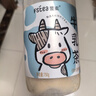 斐素大红袍牛乳茶饮料（奶茶）750g 实拍图