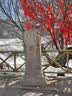 USOM滑雪镜双层防雾防紫外线 高山滑雪护目镜 可卡近视UF035丹霞红 实拍图