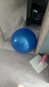 TaTanice早教大龙球儿童感统训练器材家用瑜伽球幼儿园户外玩具生日礼物 实拍图