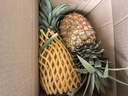 京鲜生 海南金钻凤梨  2个装 单果2斤起  生鲜水果 实拍图