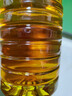 鲁花 【保真菜籽油】食用油 低芥酸特香菜籽油 6.18L   物理压榨 实拍图