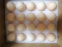 乡公馆土鸡蛋新鲜农家散养谷物喂养无抗土鸡蛋柴笨鸡蛋草鸡蛋新鲜整箱装 土鸡蛋30枚 整箱1.2kg 实拍图