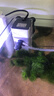 森森 小鲤鱼缸过滤器净水循环三合一内置水族箱过滤系统XQP-500F 6W 实拍图