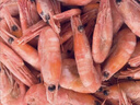 仁豪水产 头籽北极甜虾熟冻冰虾净重3斤 80/100 头籽率80% 送礼 25年新货 实拍图