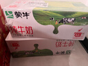 蒙牛全脂纯牛奶200ml*24盒 家庭年货囤货 电商定制 实拍图