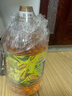 金龙鱼 食用油 非转基因 物理压榨玉米油6.18L（蕴含植物甾醇） 实拍图