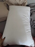 水星家纺枕头枕芯酒店枕头护颈枕头芯家用单个纯棉抗菌可水洗中枕48x74cm 实拍图