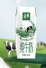 伊利金典纯牛奶整箱 200ml*24盒 3.6g乳蛋白 原生高钙 年货礼盒装 实拍图