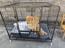腆宠狗笼 狗笼子大型犬中型犬小型犬带厕所加粗狗窝家用宠物笼子围栏 实拍图