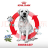 皇家狗粮 拉布拉多老年犬狗粮 宠物大型犬 SLR30 全价犬粮≥5岁 3KG 实拍图