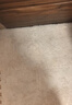 富居毛绒方块拼接地毯 客厅卧室满铺隔音隔凉防滑30cm10片装驼色 实拍图