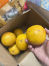京鲜生 爆汁黄金葡萄柚 净重5斤 单果300g起 生鲜年货水果    实拍图