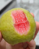 京鲜生 红心珍珠芭乐番石榴 净重3斤 单果150g+ 生鲜水果年货礼盒 实拍图