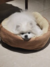 【京东快递】猫咪保暖加厚椭圆窝封闭式宠物窝小型犬狗窝猫咪窝 奶茶色 M45*60（18斤内） 实拍图