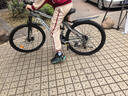 凤凰（Phoenix）山地自行车成人学生儿童碟刹越野变速单车 ZB888 26英寸24速灰色 实拍图