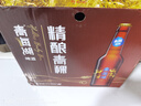 青海湖啤酒  10° 精酿青稞500ml*12 瓶大西北特色啤酒 整箱装 实拍图