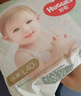 好奇（Huggies）小森林拉拉裤XL32+2片(12-17kg)尿不湿心钻【透氧顶配更低敏】 实拍图