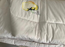 京东京造阿金朵100%天然新疆棉花被 纯棉空调被芯双人被子春秋被5斤2x2.3m 实拍图