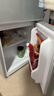 HYUNDAI（韩国现代）小冰箱迷你小型家用冷藏冷冻宿舍出租房办公室双开门二门电冰箱节能省电 58L银【日销过百+租房必备】 实拍图
