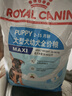 皇家狗粮幼犬狗粮幼犬奶糕宠物大型犬MAJ30全价犬粮2-15月4KG 实拍图