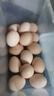 京鲜生 无抗保洁鲜鸡蛋30枚/盒 健康轻食 礼盒送礼 1.5kg/盒 源头直发 实拍图