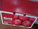 京鲜生 烟台红富士苹果 净重10斤 单果190g以上 生鲜水果 礼盒装 实拍图