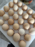 京鲜生 无抗保洁鲜鸡蛋30枚/盒 健康轻食 礼盒送礼 1.5kg/盒 源头直发 实拍图