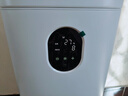 东芝（TOSHIBA）加湿器空气净化器无雾加湿净化一体机除醛除菌除敏母婴家用防干燥家用消毒杀菌大白梨Pro 实拍图