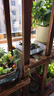 安尔雅实木花架子室内客厅多层落地式阳台置物架多肉绿萝植物摆放花盆架 实拍图