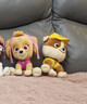 汪汪队立大功（PAW PATROL）毛绒玩具狗狗陪睡玩偶经典款珠珠中号坐姿可爱公仔男女孩生日礼物 实拍图