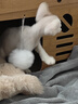 派乐特猫窝踩奶软垫猫垫睡觉用猫垫子狗窝宠物垫子狗垫猫咪垫毛毯S 实拍图