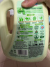 立白卫仕天然除菌洗衣液 青翠茶园 2斤单瓶  除菌率99.99% 实拍图