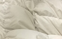 被子被芯冬被春秋被床垫被褥子铺底冬季加厚优质被芯【铺盖两用】 优质被芯【铺盖两用】 150*200cm【4斤】 实拍图