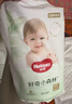 好奇（Huggies）小森林拉拉裤XL32+2片(12-17kg)尿不湿心钻【透氧顶配更低敏】 实拍图