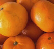 京鲜生 冰糖橙/橙子 5斤装  单果100-130g 生鲜水果年货礼盒 实拍图