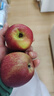 2025正宗云南昭通冰糖心丑苹果新鲜水果苹果当季脆甜水果产地直发 2斤装小果（60-70mm） 实拍图