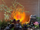 京黔日落灯落日氛围灯夕阳投影灯创意直播气氛灯卧室床头黄昏灯礼物 实拍图