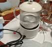 养生壶烧水壶热水壶养生烧水壶煮茶壶煮茶器泡茶壶一体机全自动玻璃小家用 【奶油白】 0.6L 普通装智能款 实拍图