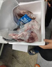 咏华春内蒙古散养苏尼特羊羔羊新鲜宰杀羔羊后腿肉宰杀急冻发货羊腿肉 整只羊后腿10斤（烤羊腿） 实拍图